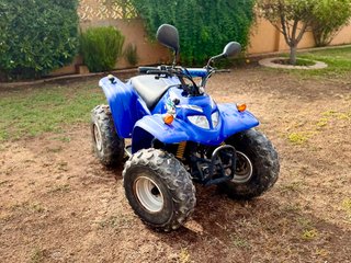 Quad Adly ATV50 Azul Todoterreno
