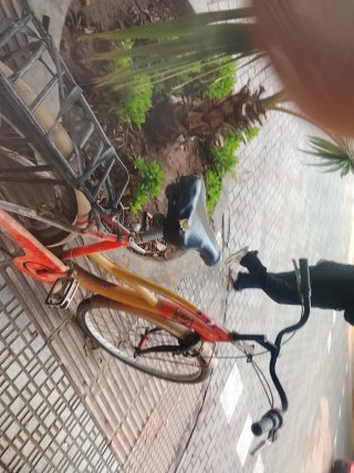 Bicicleta Clásica Vintage