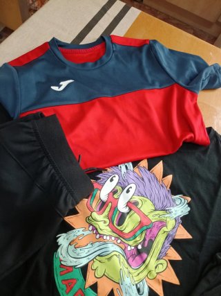 Lote Ropa Niño Camisetas y Pantalones
