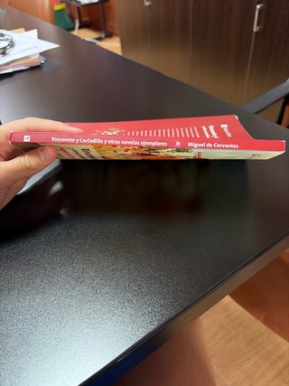 Rinconete y Cortadillo y otras novelas ejemplares.
