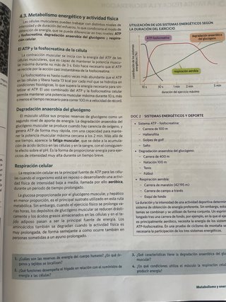 Anatomía Aplicada