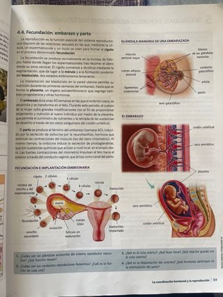 Anatomía Aplicada