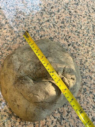 Tana per tartarughe e rettili in genere