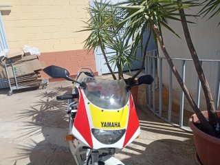 Yamaha TZR 80 RR Sportbike