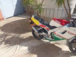 Yamaha TZR 80 RR Sportbike