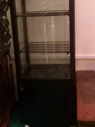 Vitrina Expositora Refrigerada 238L