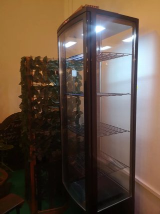 Vitrina Expositora Refrigerada 238L