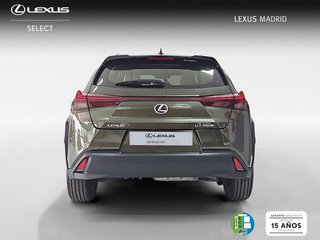 Lexus UX 2.0 250h Business