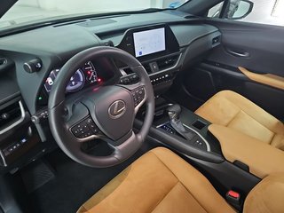 Lexus UX 2.0 250h Business