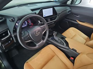 Lexus UX 2.0 250h Business