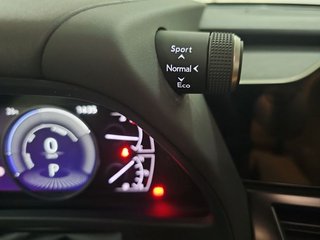 Lexus UX 2.0 250h Business