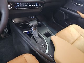 Lexus UX 2.0 250h Business