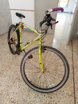Bicicleta de Montaña