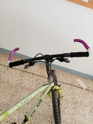Bicicleta de Montaña