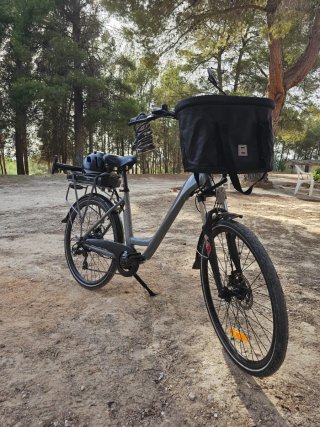 Bicicleta Eléctrica Ipsilon Lancia Gris