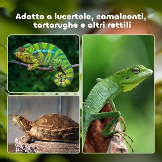 Terrario para Tortugas de Tierra, Camaleón, Iguana, Geco y Reptiles con Termómetro 18-34℃, 60X40X40.5Cm, Negro