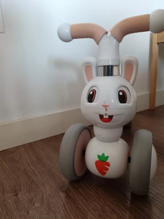 Bicicleta de equilibrio infantil Rabbit