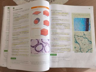Biología, Geología y Ciencias Ambientales 1 Bac...