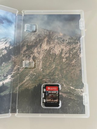 Mudrunner American Wilds Nintendo Switch