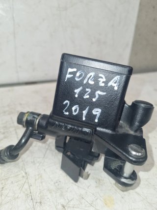 Honda Forza 125cc 2019