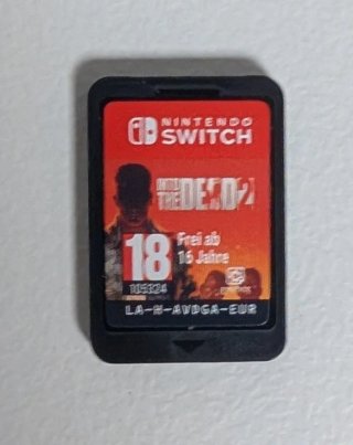 Into the Dead 2 Nintendo Switch
