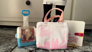 Nancy Viajera NY Muñeca con Accesorios
