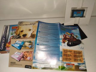 Donkey Kong Country 3 Game Boy Advance