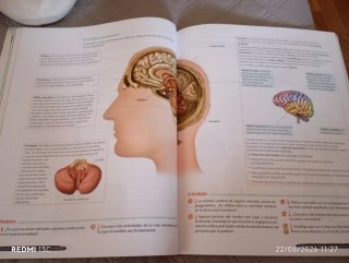 Biología y Geología 3º ESO. Libro del estudiant...