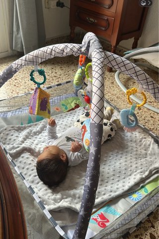 Gimnasio para bebé con juguetes