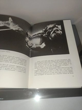 Il libro degli squali Mursia
