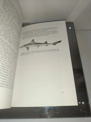 Il libro degli squali Mursia