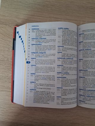 Diccionario Primaria, lengua española