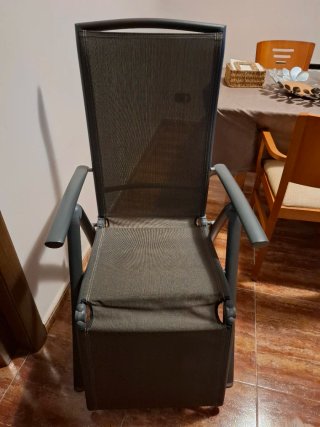 Silla de jardín reclinable gris