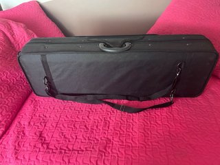 Violín Eléctrico Harley Benton Zebra + estuche