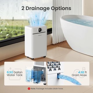 Deumidificatore 12L/24H Silenzioso con Timer NUOVO