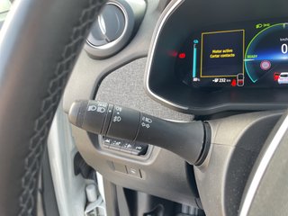 Zoe Intens 100 kW R135 Batería 50kWh