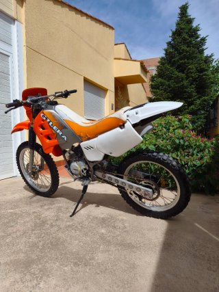 Gilera surfer