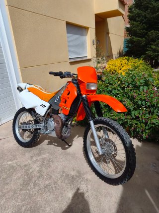 Gilera surfer