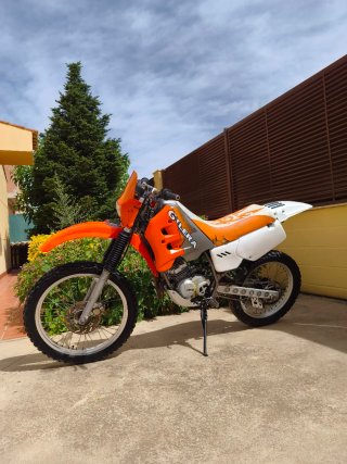 Gilera surfer