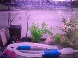 Pecera 60L con 2 filtros