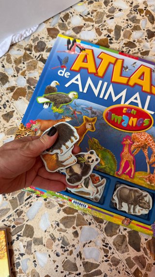 Lote de libros infantiles en español
