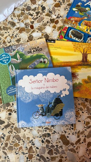 Lote de libros infantiles en español
