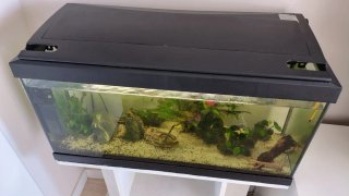 Acuario 80L con accesorios