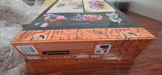 LEGO Flower Wall 11503 Botanicals