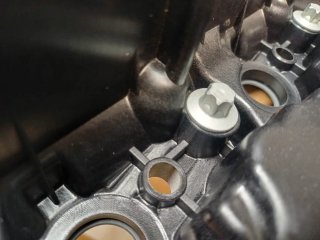 Tapa de balancines BMW