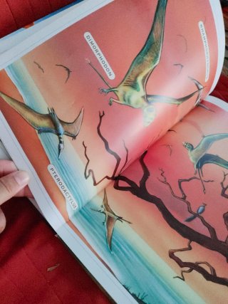 Mi primer libro de dinosaurios