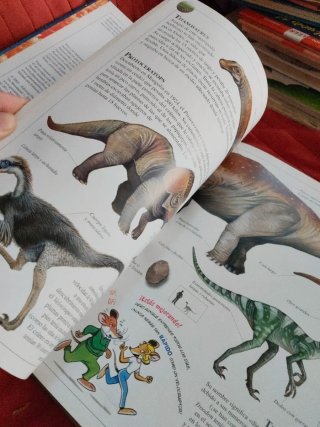 Mi primer libro de dinosaurios