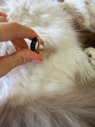 Anillo Oura Talla 7 con Cargador y Caja original