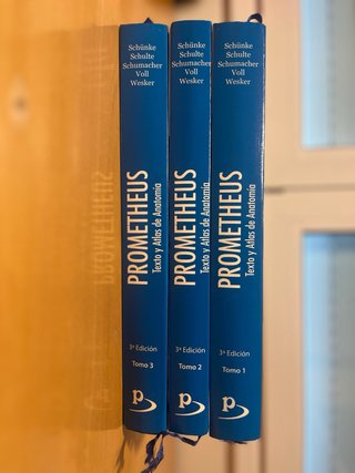 LOTE MEDICINA: Prometheus + Ross (3a y 6a edición)