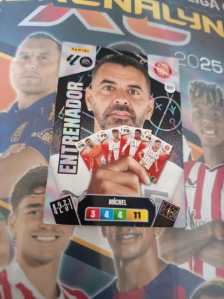Carta Panini XL Entrenador Míchel